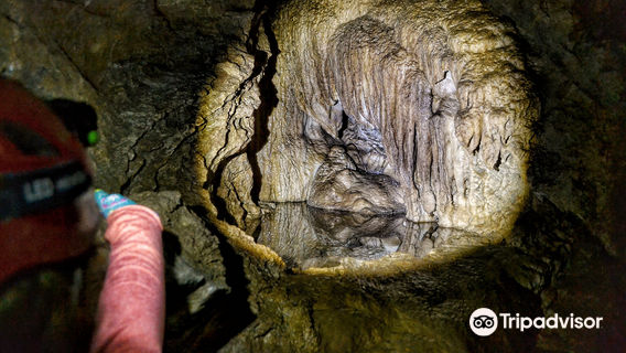 Horne Lake Caves Provincial Park