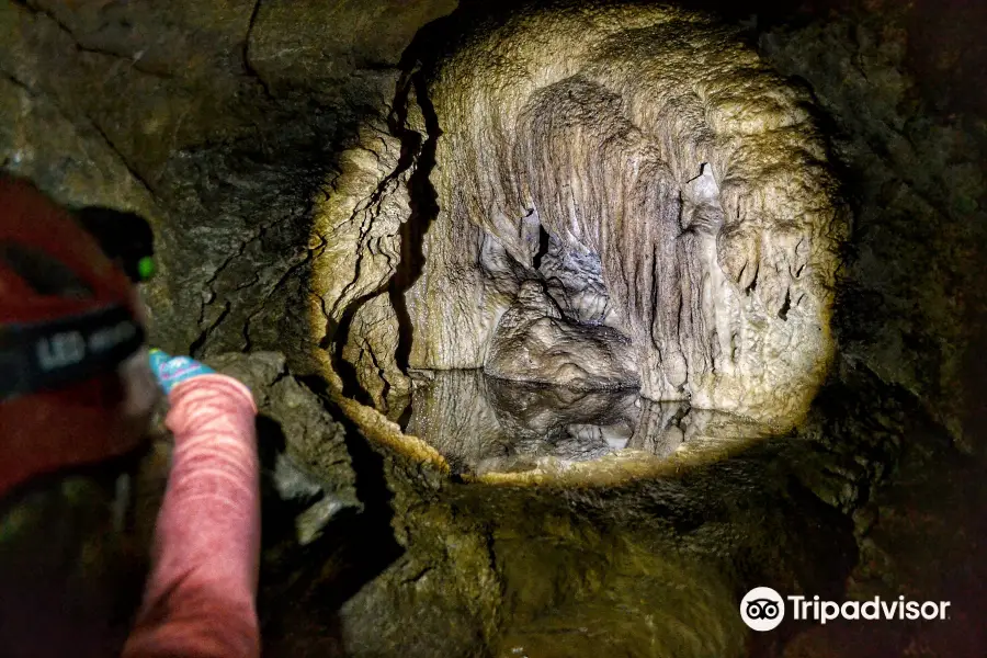 Horne Lake Caves