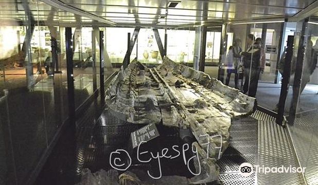 Dover Museum and Bronze Age Boat Gallery