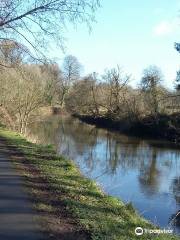 Lagan Valley Regional Park