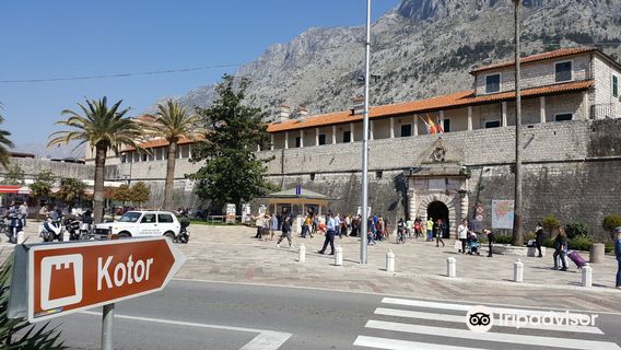 Kotor