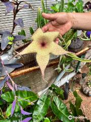 The Bonaire Botanical Garden