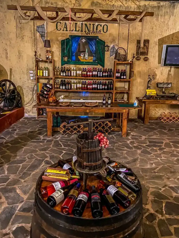 Hotels in Arkadii