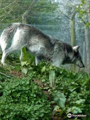 UK Wolf Conservation Trust