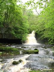 West Burton Falls