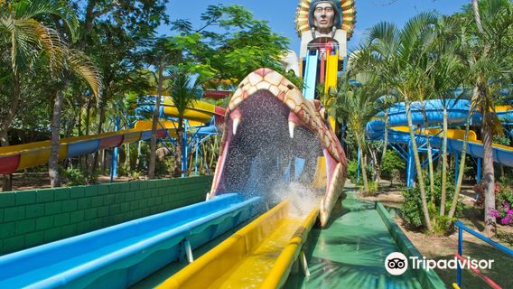 Show Water Park