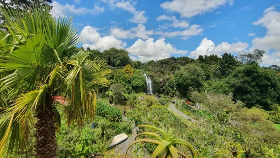 Wrights Water Gardens