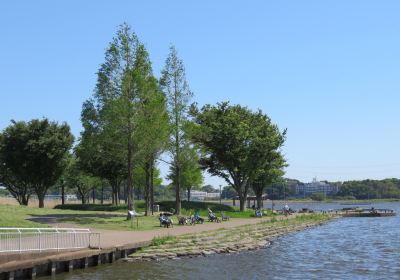 Teganuma Park