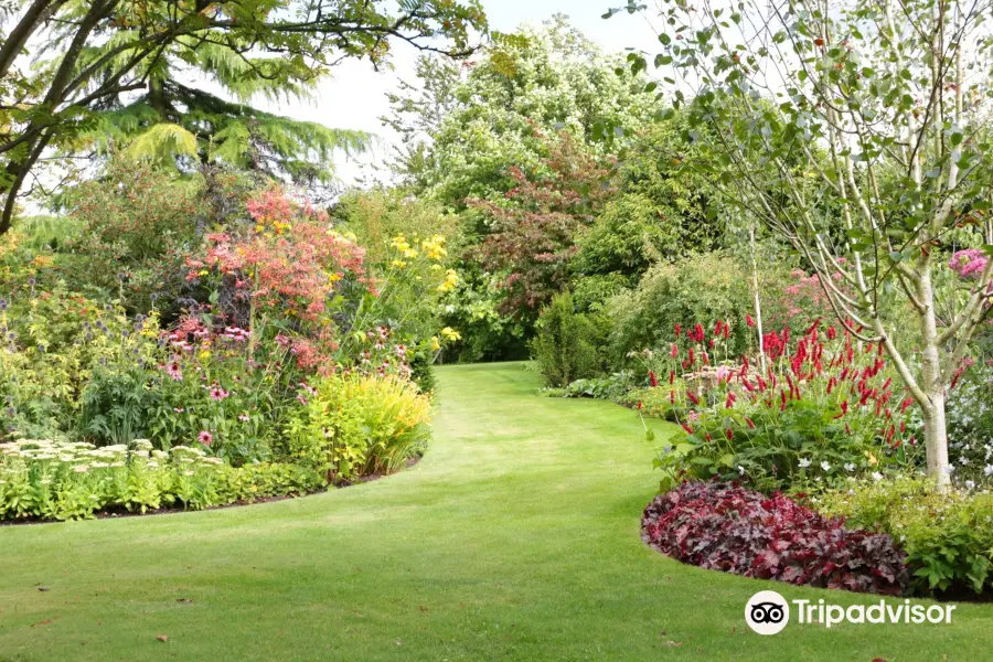 Bluebell Cottage Gardens and Nursery. Open Apr-Sep, Wed-Sat 10-5. Open 1/2nd July 2023 for the NGS charity.