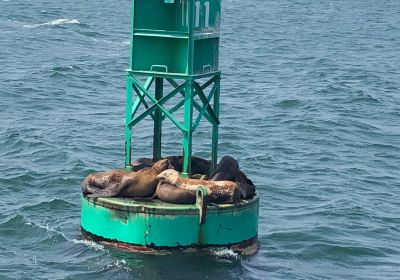 LA Waterfront Cruises