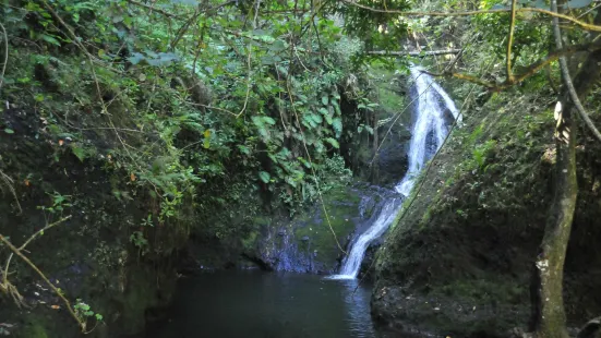 Wigmore's Waterfall