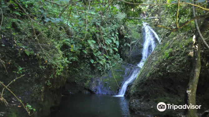 4_Wigmore's Waterfall