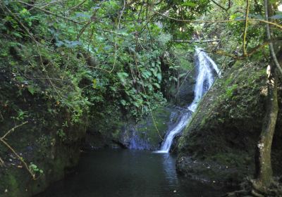 Wigmore's Waterfall