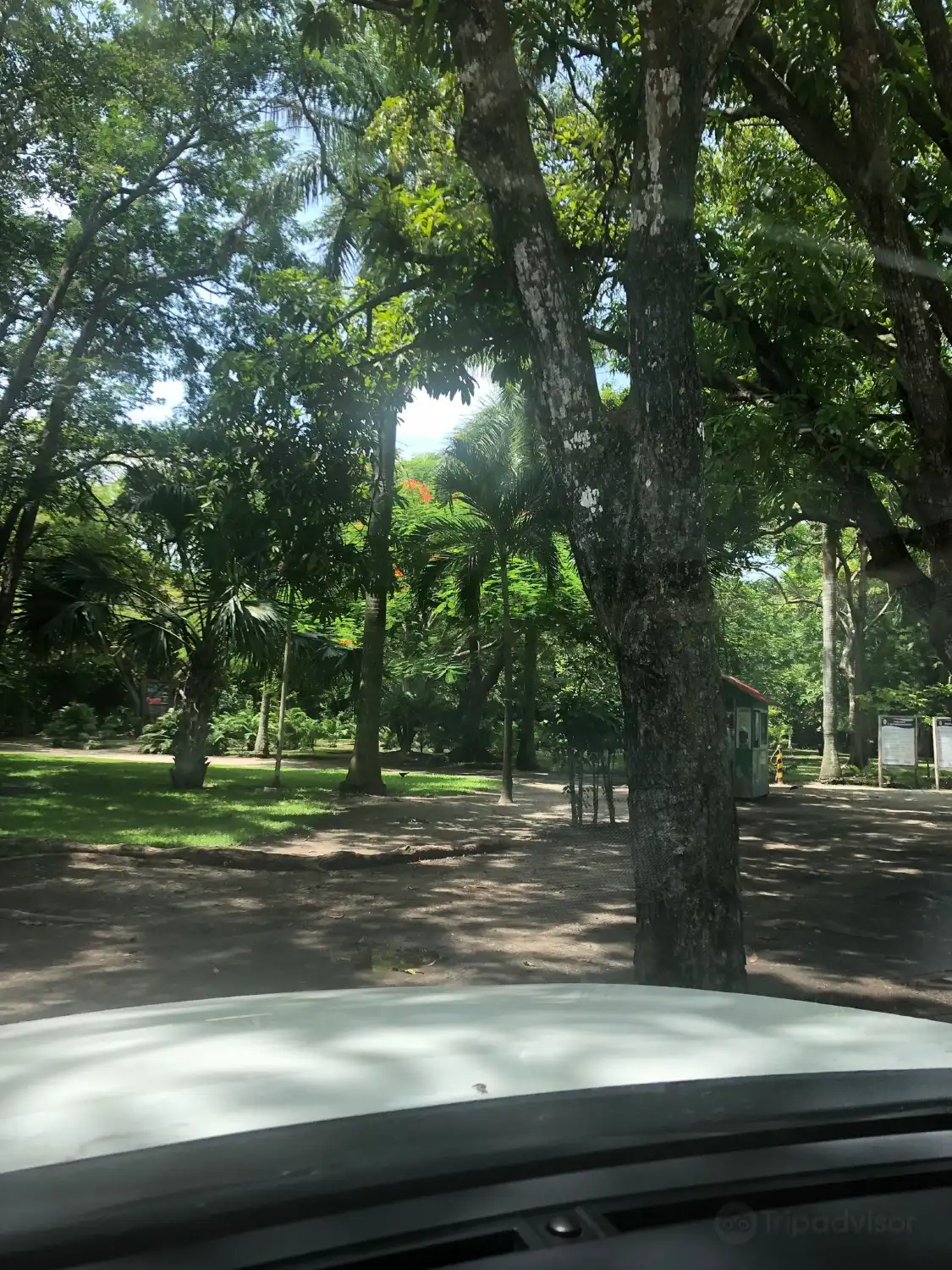 Hotels near Jardin Botanico Unacar