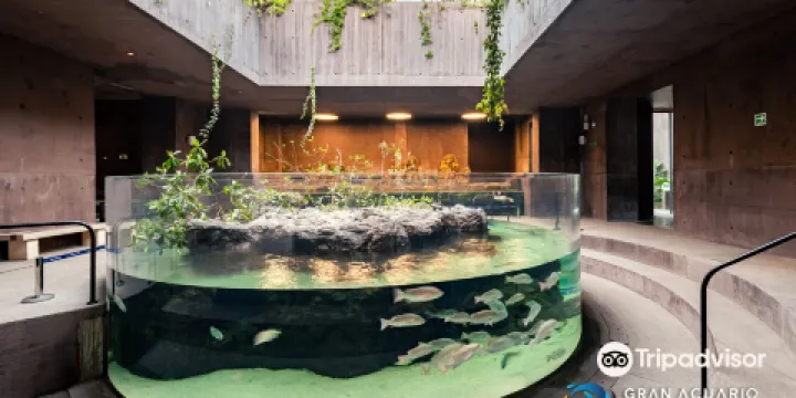 Gran Acuario Mazatlán