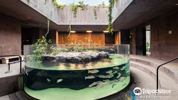 Gran Acuario Mazatlán
