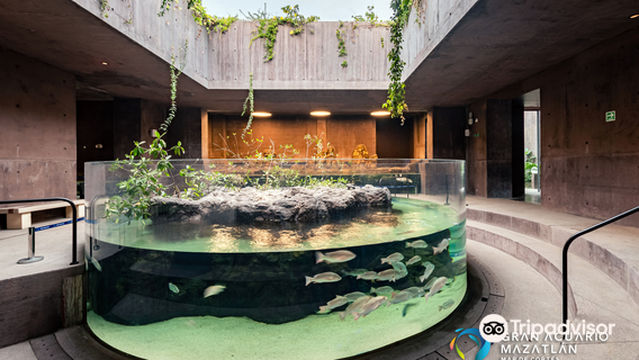 Gran Acuario Mazatlán