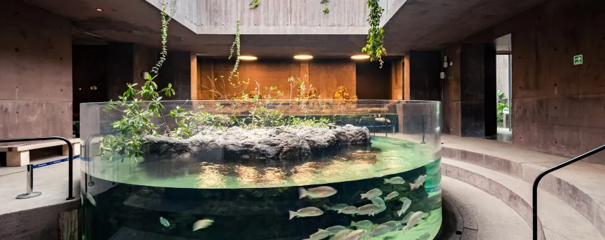Gran Acuario Mazatlán