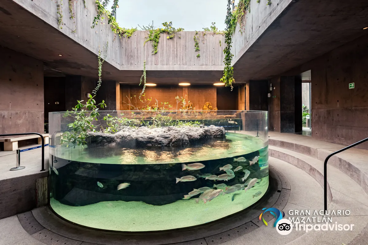 Gran Acuario Mazatlán