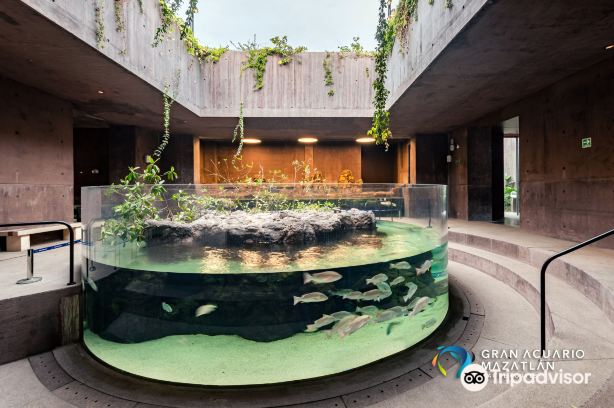 Gran Acuario Mazatlán