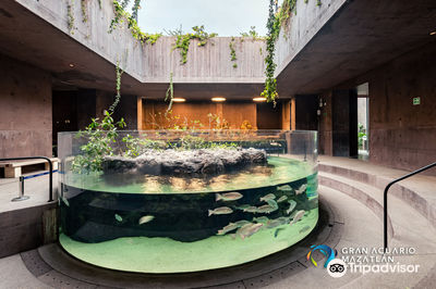 Gran Acuario Mazatlán