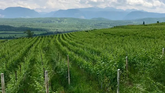 Centro Storico Caldaro sulla Strada del Vino