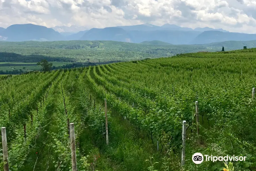 Centro Storico Caldaro sulla Strada del Vino