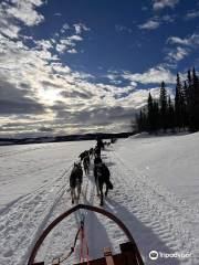 Are Sleddog Adventures