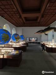 Museum of Evolution