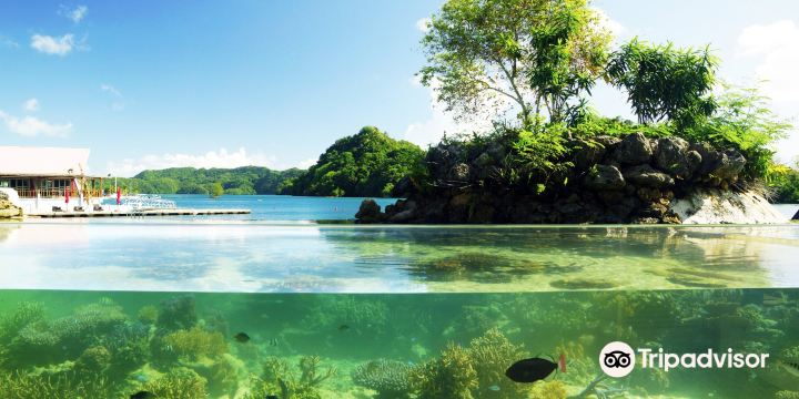 Palau Aquarium