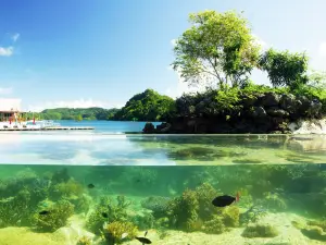 Palau Aquarium