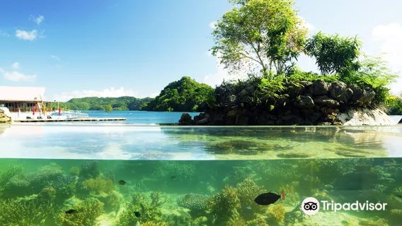 Palau Aquarium