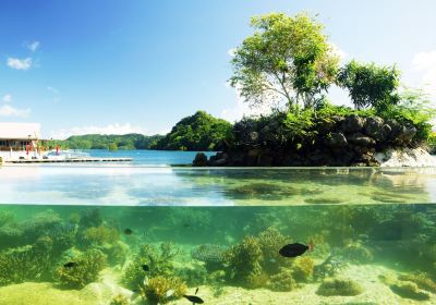 Palau Aquarium