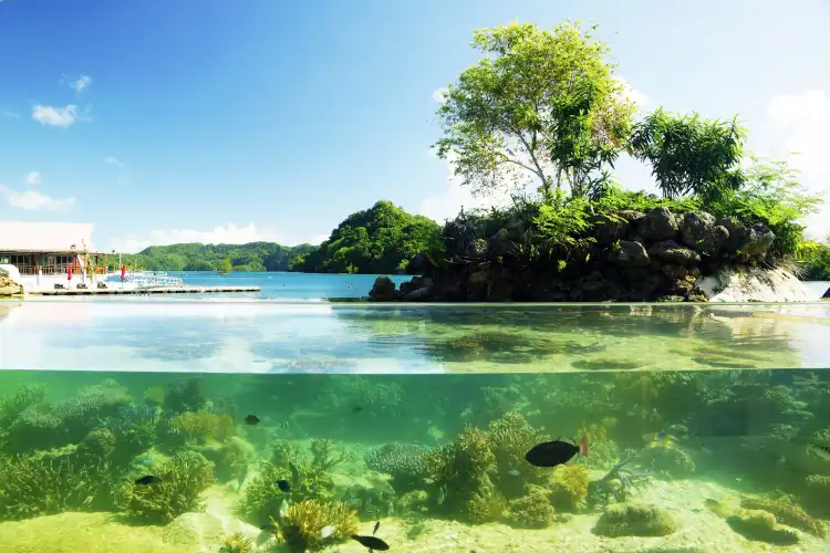 Hotels in der Nähe von Palau Aquarium