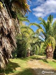 Jardin Exotique de Saint-Renan