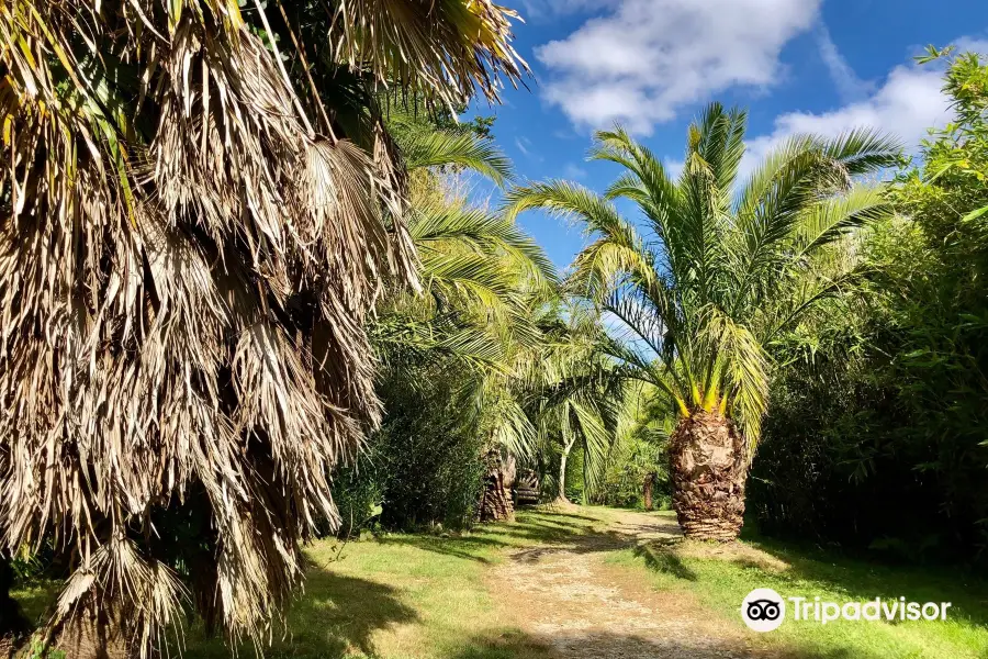 Jardin Exotique de Saint Renan