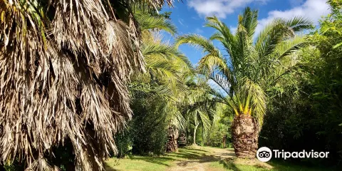 Jardin Exotique de Saint Renan