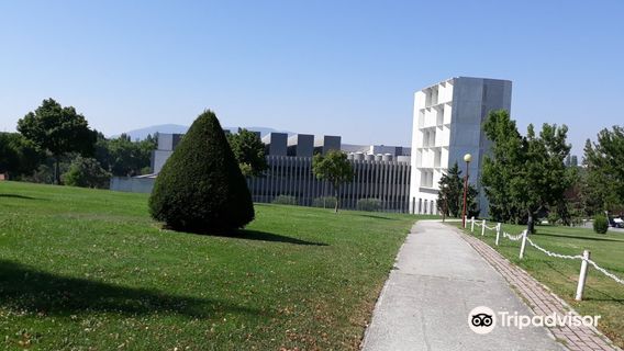 University Museum of Navarra