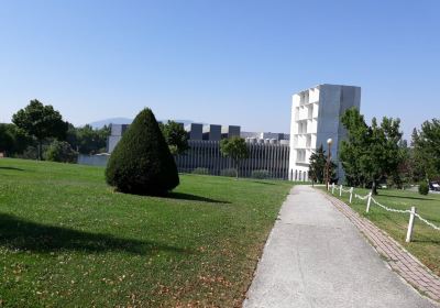 University Museum of Navarra