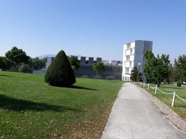 University Museum of Navarra