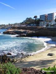 San Diego - La Jolla Underwater Park