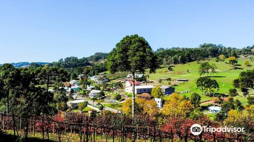 House Fontanari Winery