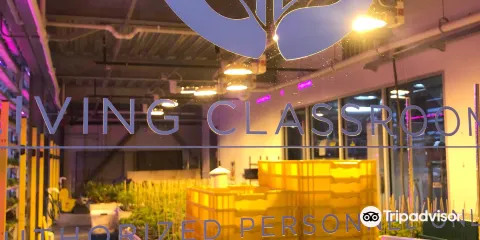 Vertical Harvest Farms