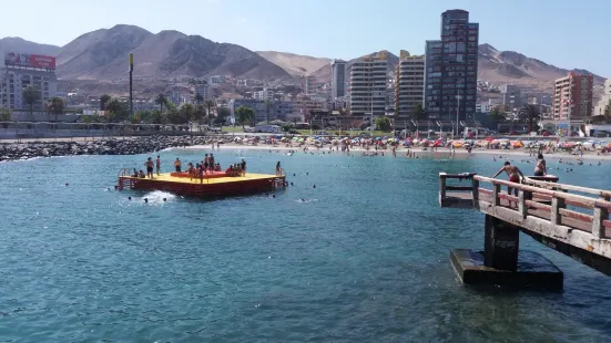 Balneario Municipal Antofagasta