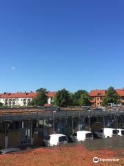 Augustenborg Botanical Roof Garden