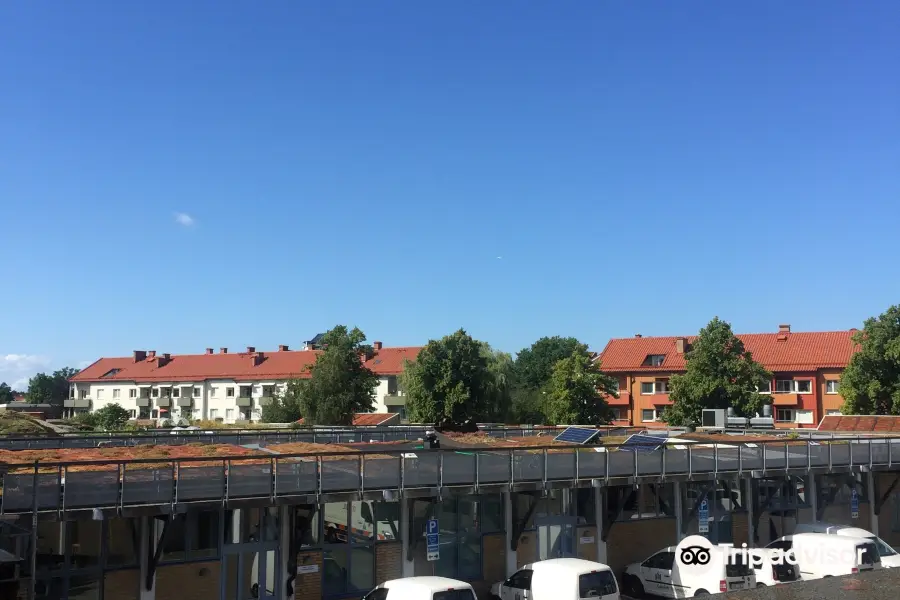 Augustenborg Botanical Roof Garden