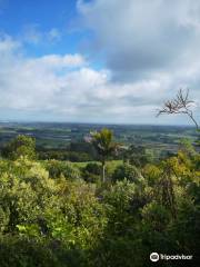 Manawatu Gorge Track