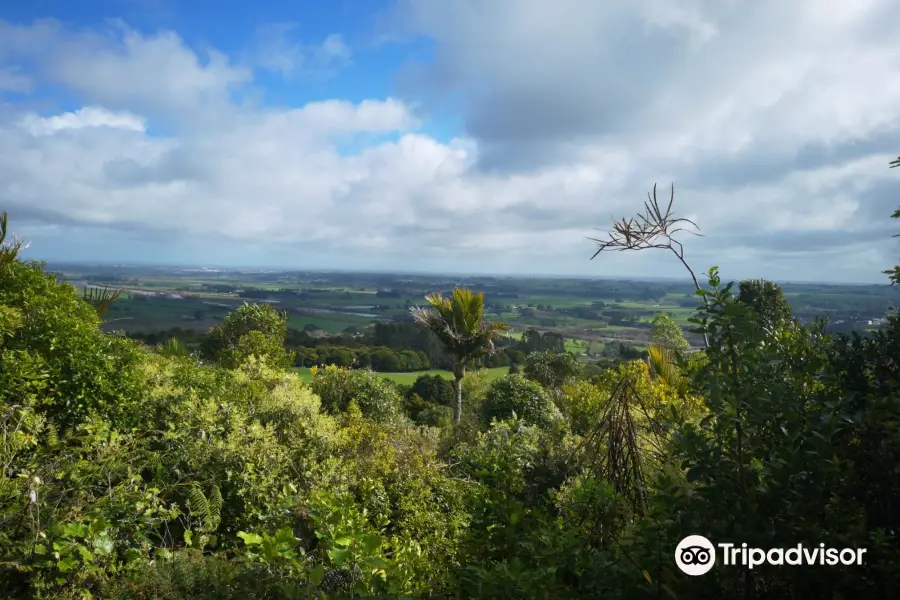 Manawatu Gorge Track