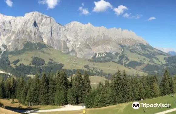 霍克康尼邊的米爾巴赫