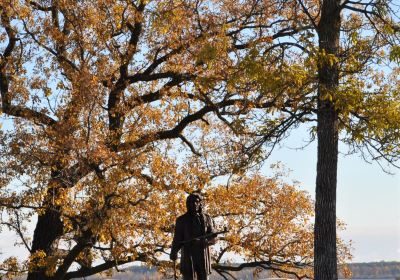 Chief Bemidji Statute